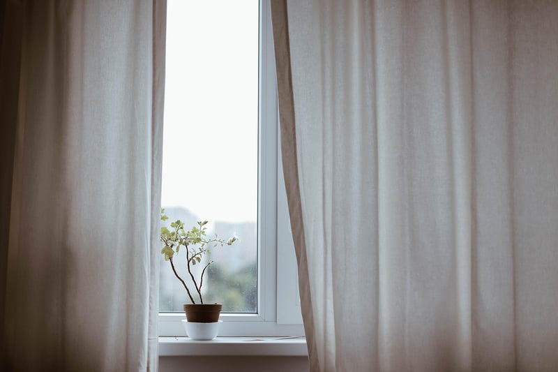 Indoor Plant Styling